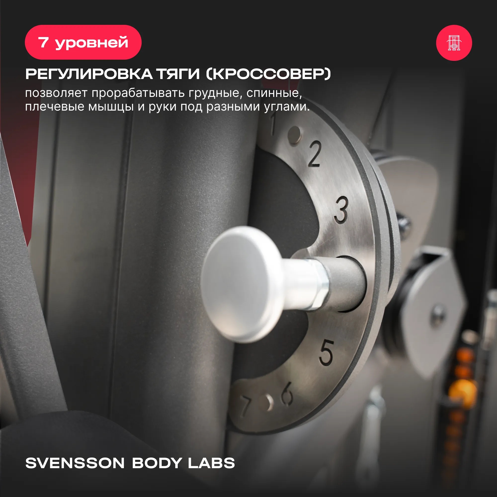 Силовой комплекс SVENSSON BODY LABS RIGEL PLUS PRO (стек 60кг)