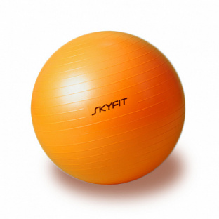 Гимнастический мяч SkyFit 65 см